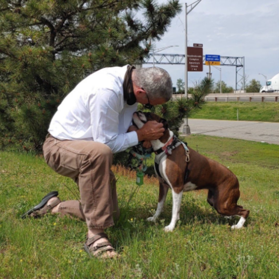 PetRelocation's tweet photo. 🚨 Partner Spotlight Alert! 🚨  Today we want to shine a spotlight on our longtime friends at Magic CarPet Rides. Brian and his team have been a lifesaver for our team since #COVID19 has limited domestic flights. #petpros #petrelocation #petshipping
https://t.co/ljpqtsflId https://t.co/ziQS1ay2xV