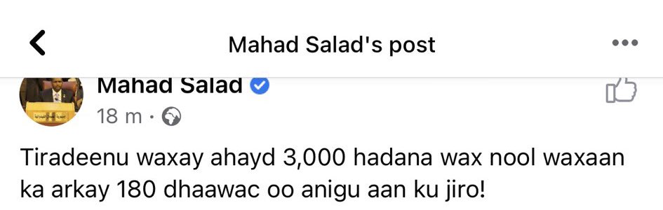 And finally, these Tigray lobbyists can not agree on the amount of soldiers sent nor the death toll. It is clear that they are making it up due to the random numbers being thrown out. The article says dozens, Rashid says 300, and Mahad Salad says 3,000!