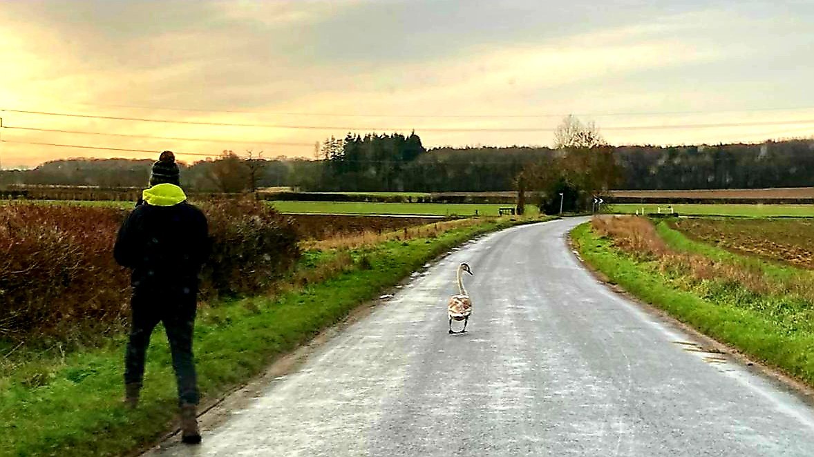 Make us famous!
View southernstaying.co.za and give it a share on your Twitter account. You may even get more followers!