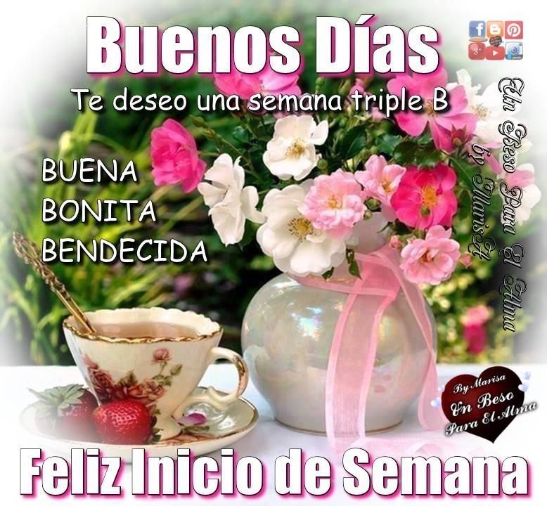 AndreaFuentesLaraL6 tweet media