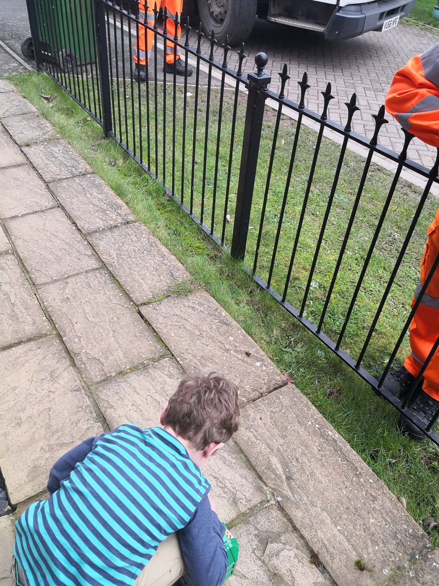 DevonDaze tweet media