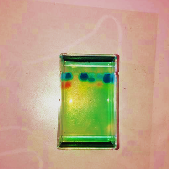 BoclairBiology's tweet photo. Some pictures from S2's digital CSI last week 🕵️‍♀️🧬 #geneticprofiling #DNA #CSI https://t.co/Ipak6EuYZN