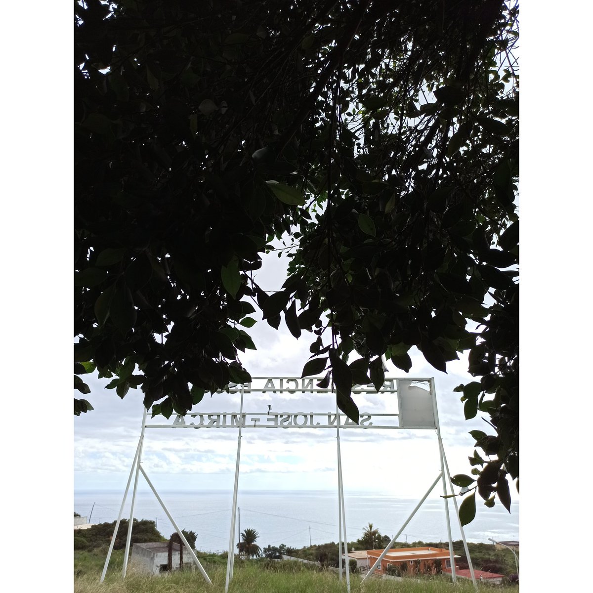_sandralorenzo's tweet photo. 🌳La mirada del árbol #mirca #lunes https://t.co/q4qDv1OGXj