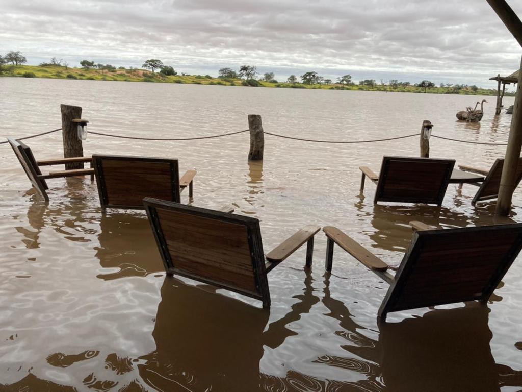 1_nam_man's tweet image. 