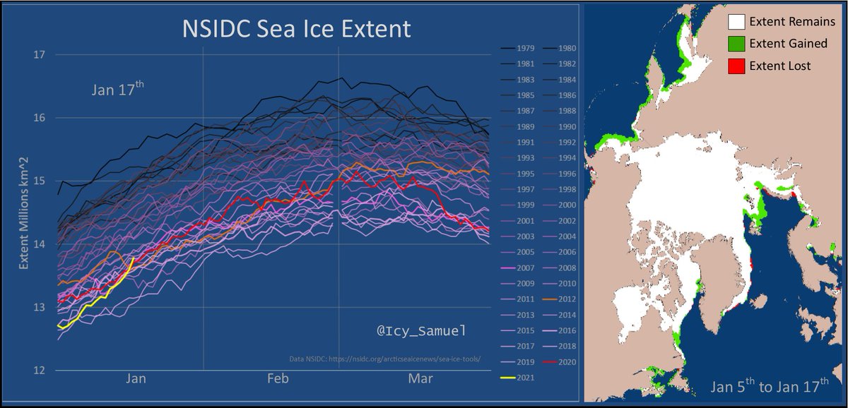  #Arctic  #seaice extent has seen a minor boom, gaining 966,000 km² between Jan 5ᵗʰ and 17ᵗʰ, taking it from lowest on record to 12ᵗʰ lowest.Does this mean a stronger pack, more capable of withstanding the 2021 melt season?Unfortunately, things are rarely so simple (1/12)