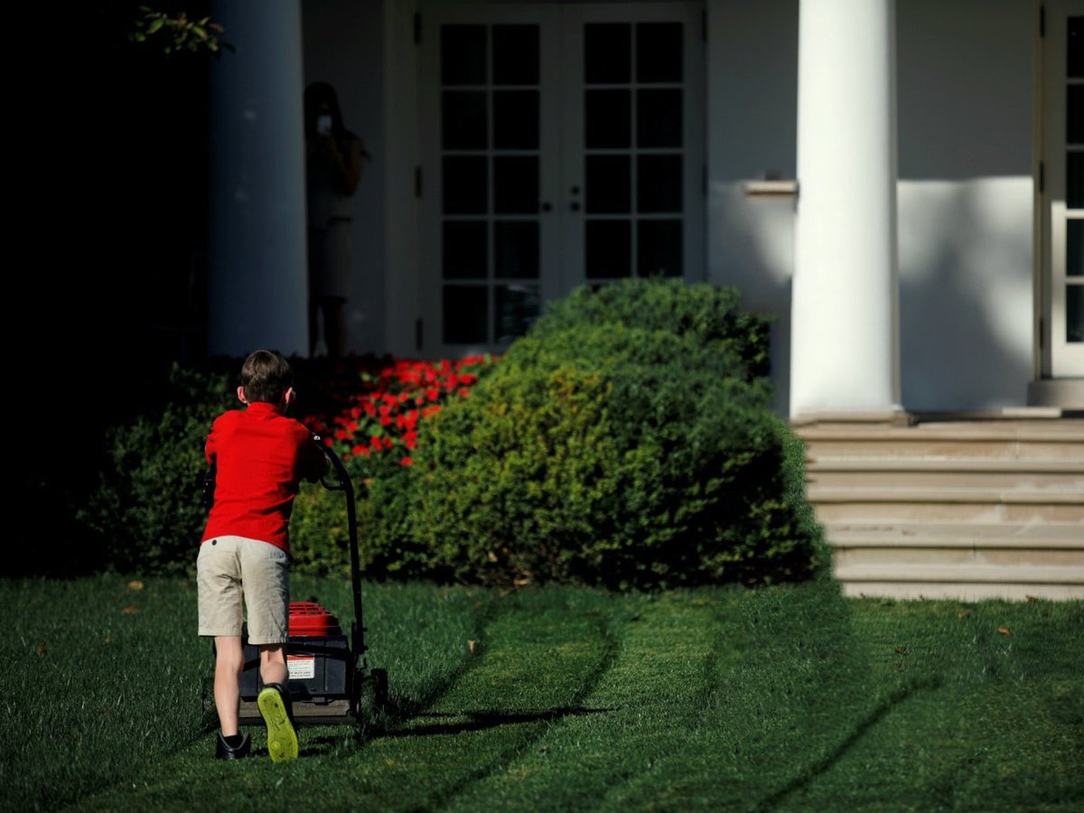 TrumpRemoved's tweet image. 