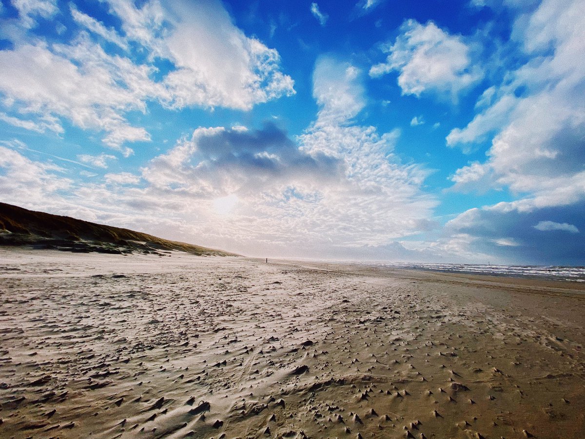 Tim Knol tweet media