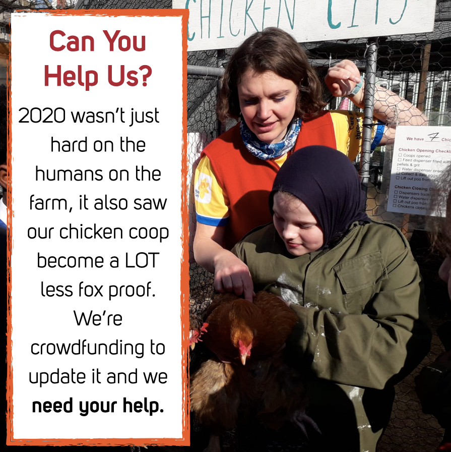 🎺  Sound the crowdfunding horn! 🎺 
We're asking for your help to replace our ageing and unsafe (at least for chickens) coop. 2020 brought us braver foxes and with fewer people on site means we need to make sure we can keep our ladies safe: buff.ly/3bMkXuU
#crowdfunding
