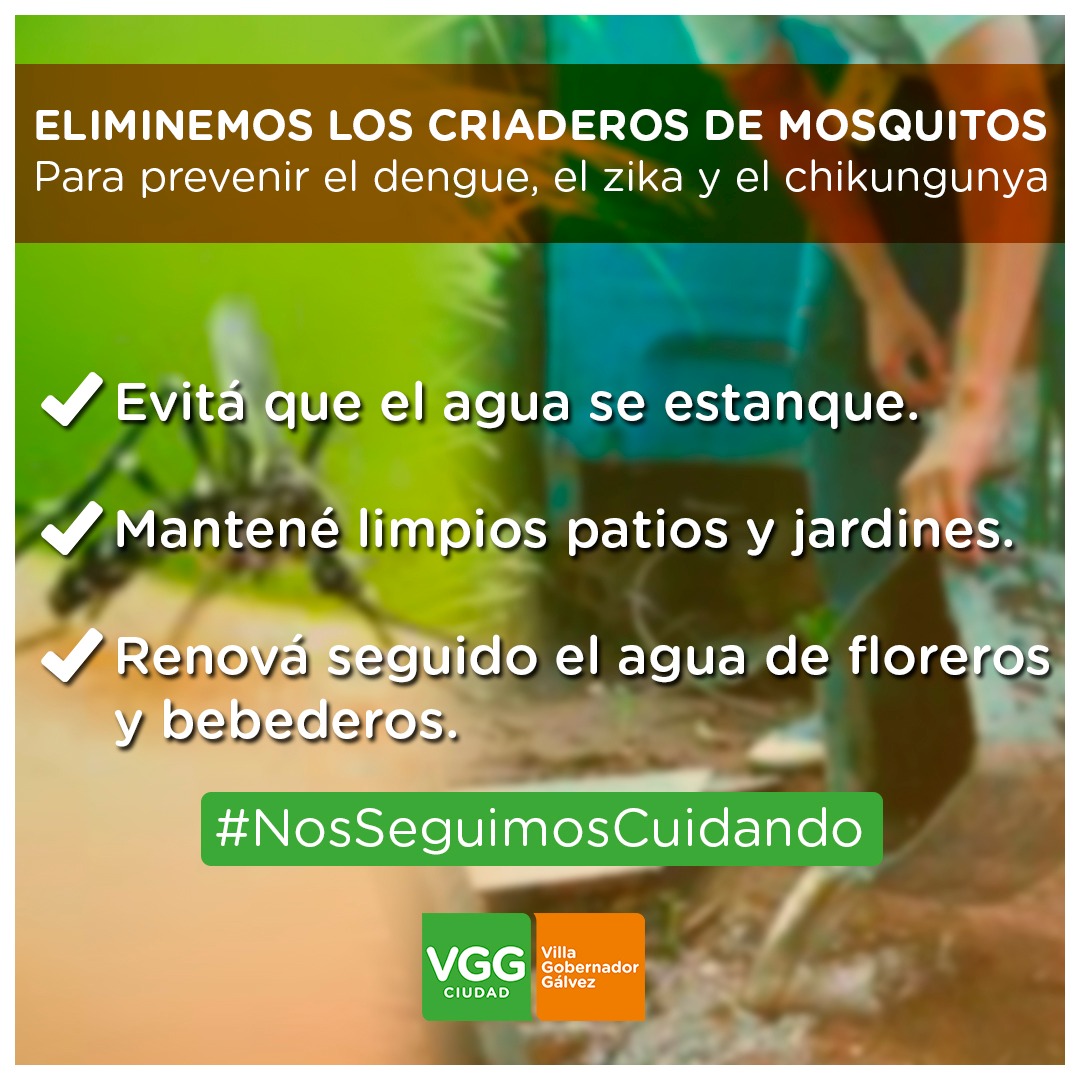 Para prevenir el Dengue 🦟 es fundamental el compromiso individual y ciudadano. Realizando descacharreo y limpieza de patios y recipientes 🪣 podremos evitar criaderos.
🦟 El #mosquito solo necesita agua quieta y un poco de sombra para dejar sus huevos y reproducirse.