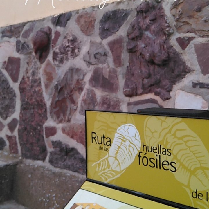 Mares Antiguos de Monsagro Centro Interpretación tweet media