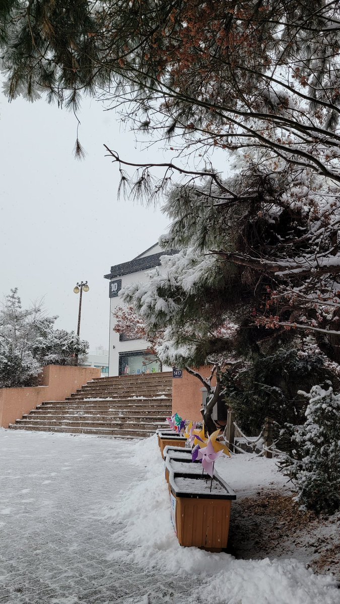 백_향 tweet media