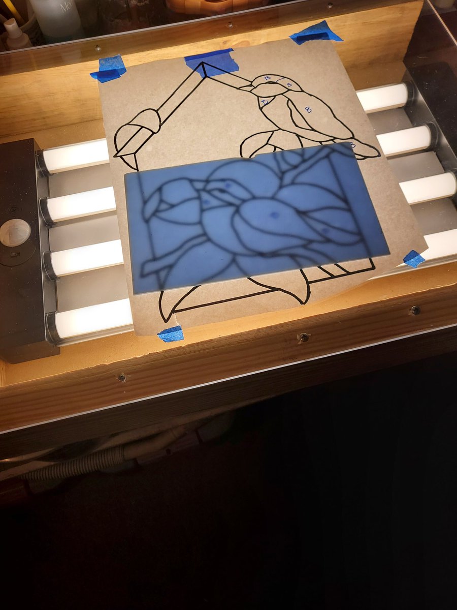 Tracy Haynes tweet media