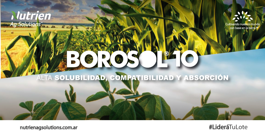 Con este fertilizante disminuí📉las deficiencias de Boro en tus cultivos:
• Mejorando el cuaje y número de flores activas
• Potenciando la germinación de los tubos polínicos y fertilidad del polen
• Mejorando la producción de aceite en oleaginosas
.
#LideráTuLote #Borosol10