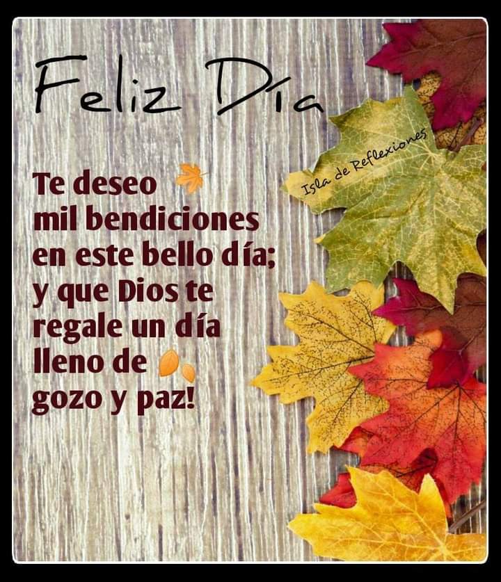 Ma54lu's tweet photo. FELÍZ INICIO DE SEMANA AMIG@S TUITTER@S DEL MUNDO, DÍOS NOS REGALE
NOS REGALE UN DÍA LLENO DE GOZO,AMOR Y PAZ❤❤❤❤❤❤❤💖 https://t.co/9dNccvTqrN