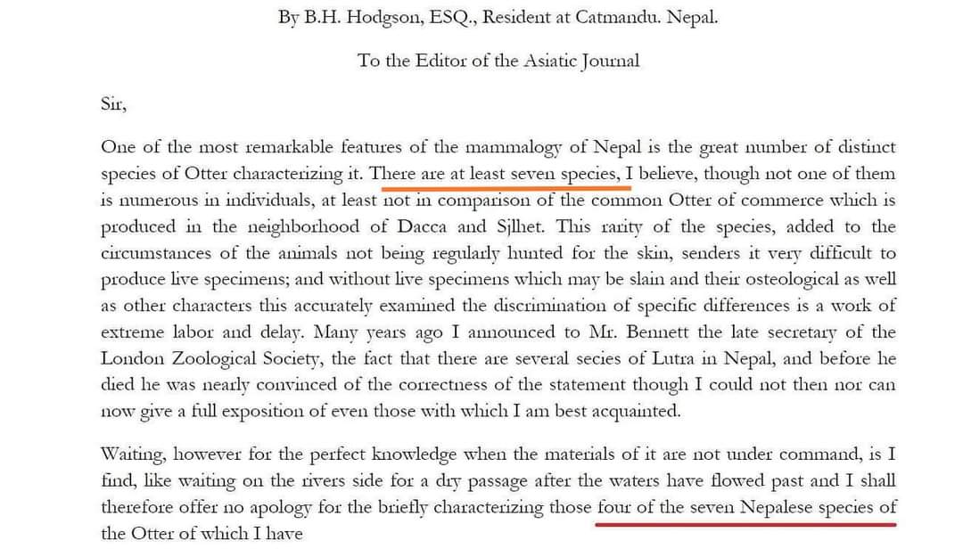 OtterOfHimalaya's tweet photo. Wow! Seven species of otters according to Hodgson!! Wondering what could be the other four species of otters...
#ottersofhimalayas
#otterspecies
#iucnotterspecialistgroup
#Nepal #raredocument #hogdson https://t.co/Ca2WsmscYJ