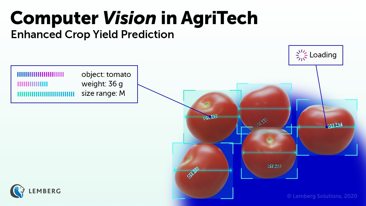 We’ve been taking a lot of pictures of tomatoes lately. Why? To help our new agritech client enhance crop yield prediction with #computervision and artificial neural networks. Read our latest LinkedIn post to learn more: bit.ly/3ipabvJ