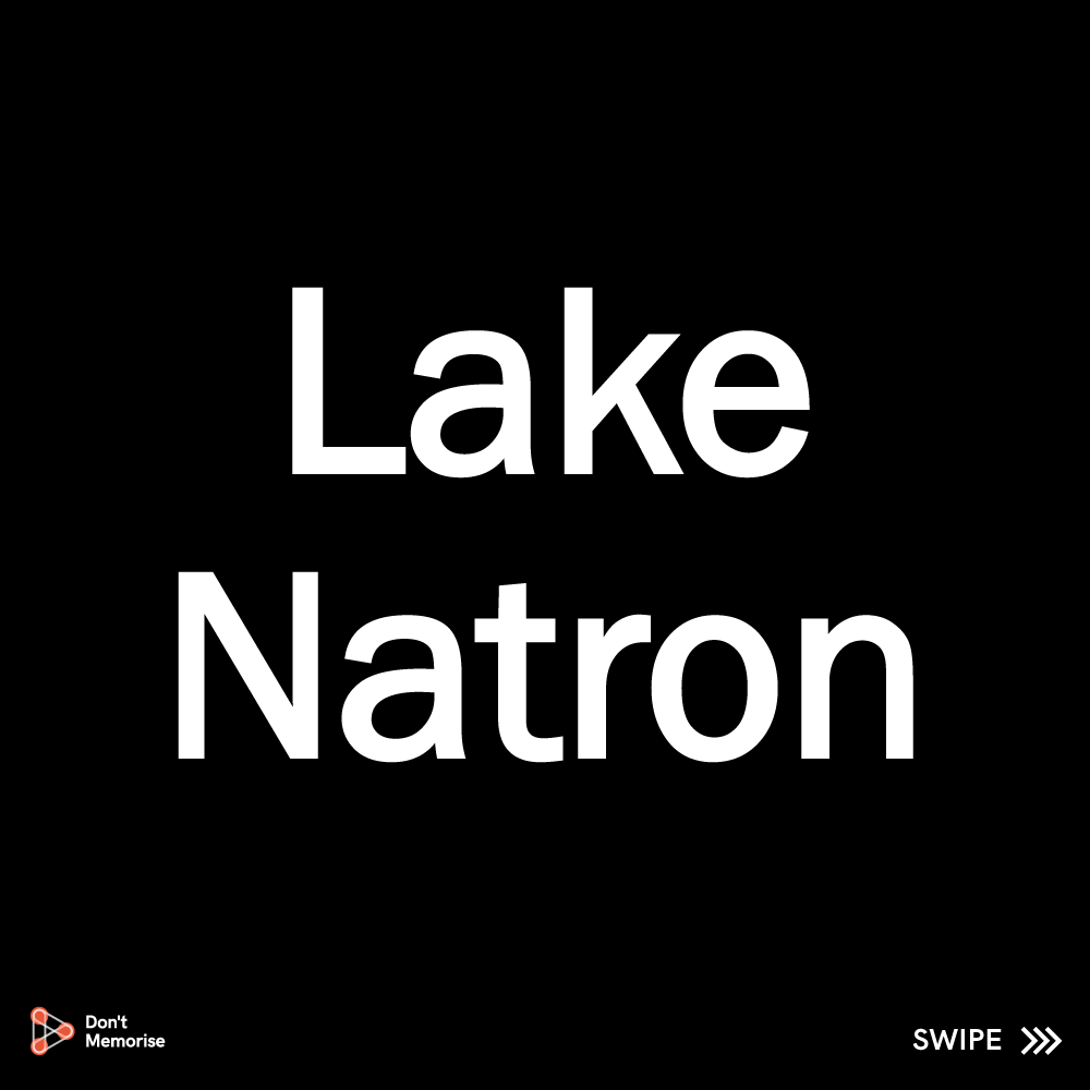dontmemorise's tweet photo. Do you know why is the #LakeNatron so unique?
Comment Now!!

#RealLearning #PiArmy #BeingKYUrious #DontMemorise https://t.co/Ggjd7HyRZB