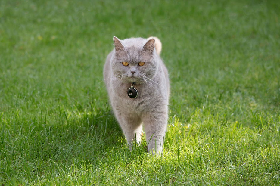 L'Usine Digitale tweet media