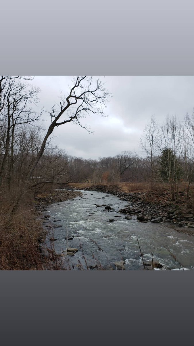 MichaelMareagle's tweet photo. Sunday's #hike not as muddy as Saturday's. But, the trail had it's muddy hiking moments.
19 total #muddy #fun miles of #hiking over the two days.
DoING the ING thing. #Keepmoving
#hiker #optoutside #outdoors #Fun2BFit #ExerciseIsMedicine #Moving #Happieroutside
#hikemoresitless https://t.co/xh2HUCk5Gg