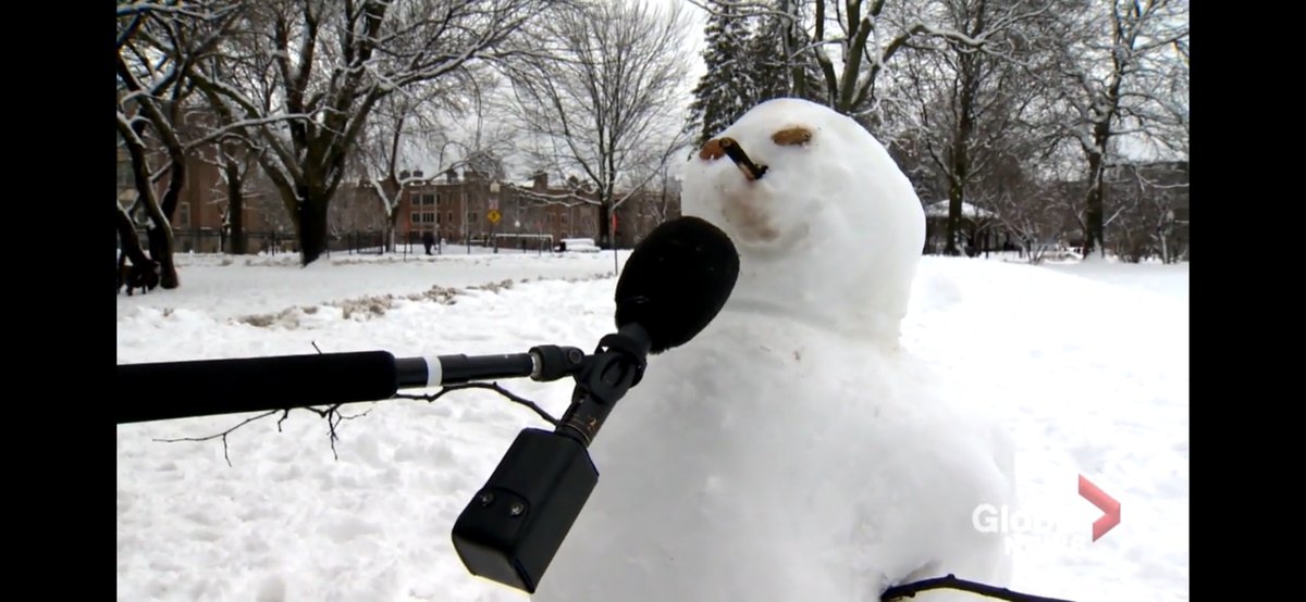 They’re even giving media interviews ( https://globalnews.ca/video/7582340/montreal-kicks-off-massive-snow-removal-operation-as-families-fill-parks-with-snowmen). Apparently there’s a citywide snowman-making contest:  https://montrealgazette.com/news/local-news/youve-probably-seen-snowmen-everywhere-montreals-running-a-contest-to-find-the-best-ones/wcm/d89ce5de-f82b-40df-a6cd-71de10a70b47/amp/