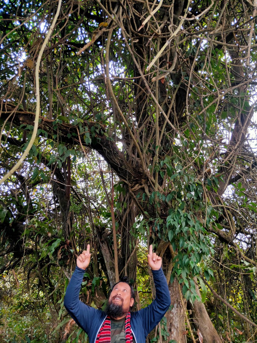 hemajitphukon's tweet photo. "During Cleanliness drive in #BuriDehing River which is also a part of Undivided #Dehing_Patkai... 

"Human life is valueless without other 8 million species"-CHDP 

#ForNature 
🌱☘️🍀🌿🍃🍂🌎
#Buri_Dehing  #Biodiversity #SDGs #MyClimateAction https://t.co/VNU2afawQc