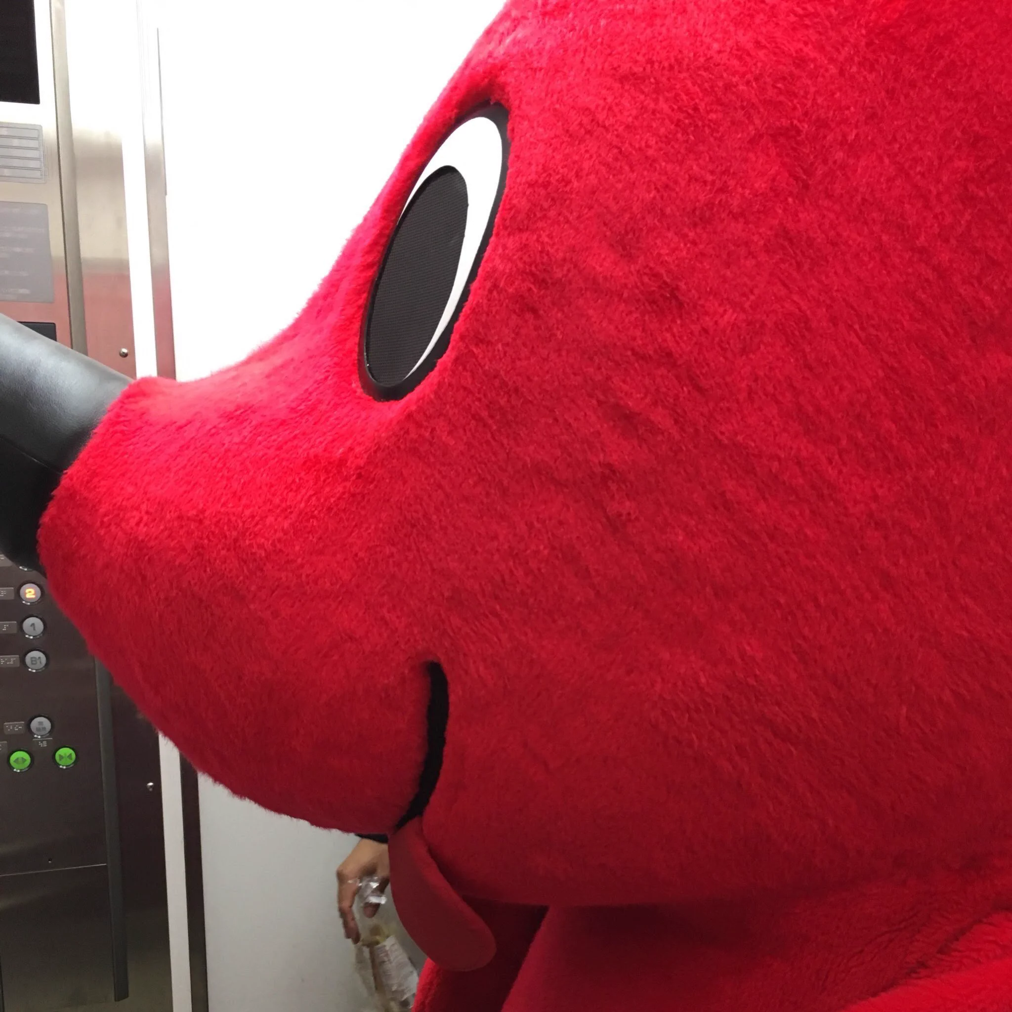 キャラクター2人とか羨ましい状況は経験ないけれど、たまたまチーバくんとエレベーター同乗したことはある  