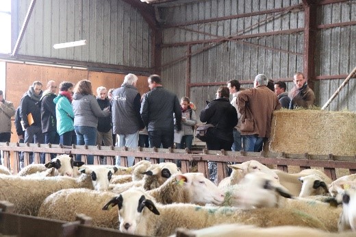 EIPAGRI_SP's tweet image. #EIPAgri #OperationalGroup #Robustagno #France shared results with other #OGs &amp;amp; #H2020 #Thematicnetworks #SheepNetEU @EuroSheepEU to maximise impact. More in #Agrinnovation magazine: 

ec.europa.eu/eip/agricultur…

@GautierIdele @InstitutElevage @SRUC @reseaururalfr #MagazineMondays