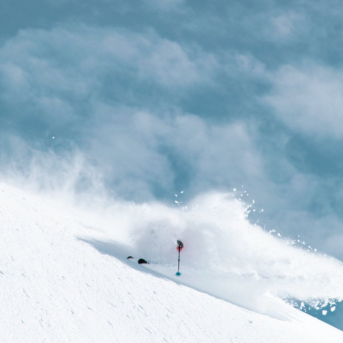TheSkiMonster's tweet image. Dear powder skiing,
We miss you!
#skiing #skipowder #powder #ski #freeskier #theskimonster