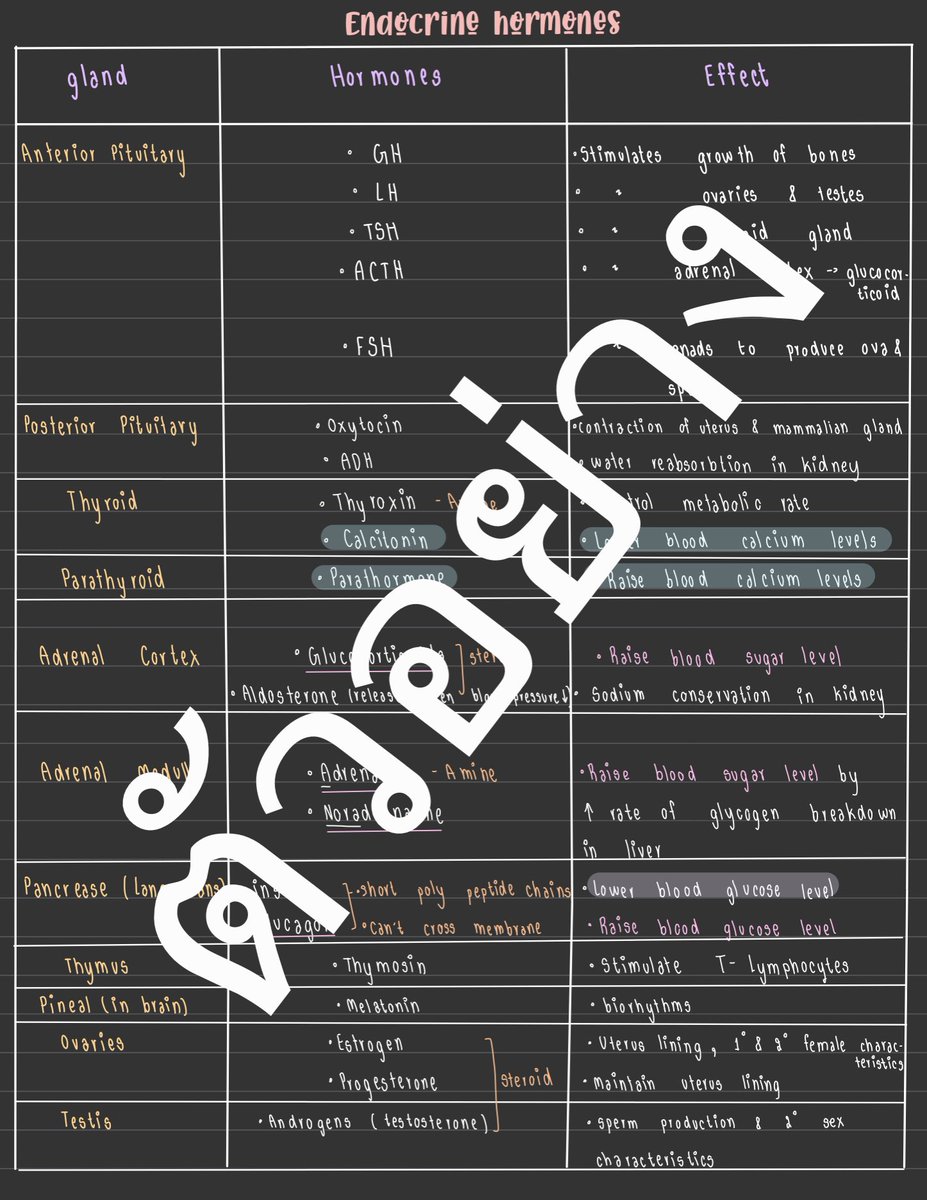 cheatsheets5's tweet image. ‼️A MUST in SATbiology‼️
สิ่งที่จำเป็นจะต้อง *จำ* เพื่อพิชิต SATbiology 800⭐️
🤍Endocrine hormones
🤍Parts of brain
🤍genetic disorder

🤎Everything☝🏼 35฿
🤎file pdf

*นี้เป็นเพียงเเค่ส่วนนึงนะคะ อยากรู้อะไรสอบถามเพิ่มเติมได้เลยค่ะ*