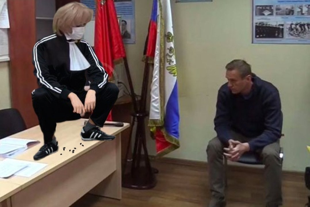 Судьями могут быть лица достигшие. Судья Елена Морозова Химкинский. Елена Морозова судья Навального. Елена Морозова судья Химки. Морозова Елена Евгеньевна судья Химки.