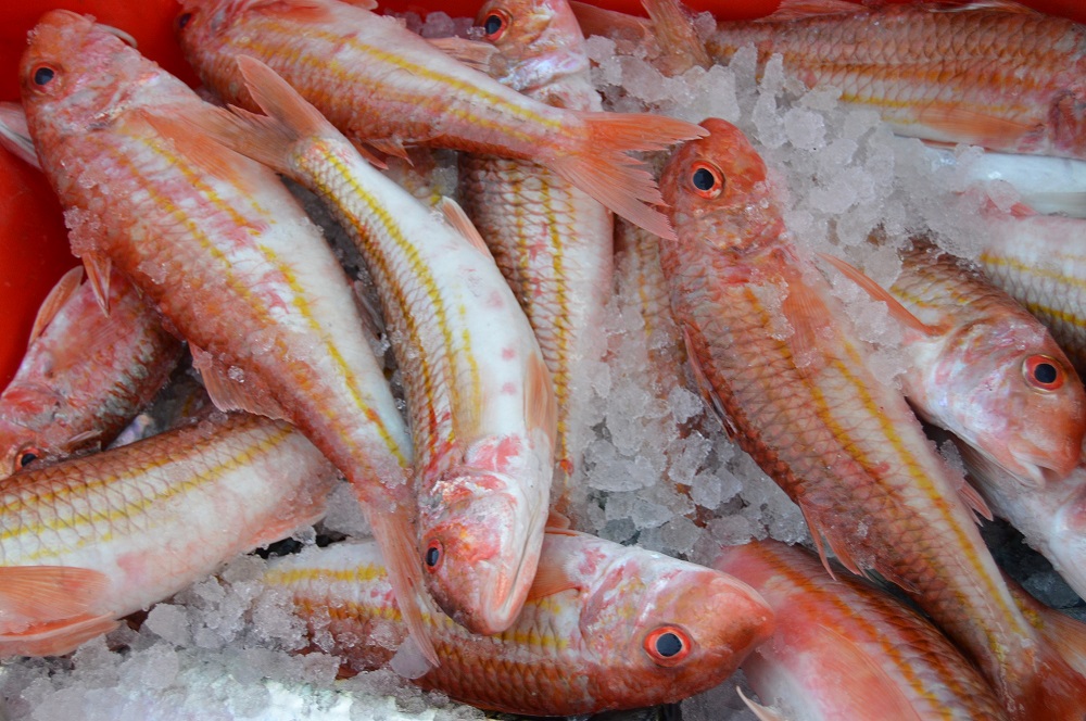 Rick Stein tweet media