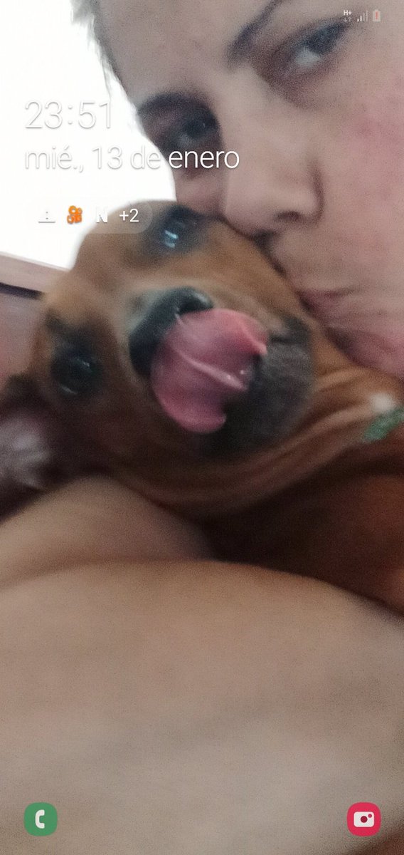 ATheriver's tweet photo. PERRo PRRDIDO..se perdio  EN ROSARIO 9DEJULIO Y RICHERI ....POR FAVOR SI ALGUIEN SAVE ALGO NO DUDE EN SVISARME HAY BUENACRECOMPENSA SE LLAMA GARRAS....Y TIENE UNA CORREA VRRDE CON PATITAS ...BLANCAS Y UN HILO AZUL COLGANDO .....LLAMAR AL 3416942425....DESDE YA GRACIAS¡¡¡..... https://t.co/ZGMbOgjND5