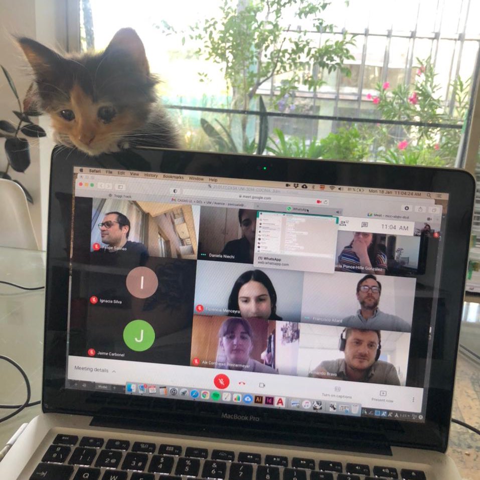 AllardPartners's tweet photo. Hoy se sumó a nuestra reunión de coordinación de @AllardPartners modo online nuestra asesora en temas felinos “Malta”. Una linda forma de iniciar la semana y cargar el espíritu de buenas vibras! https://t.co/kpBSoJJR3s