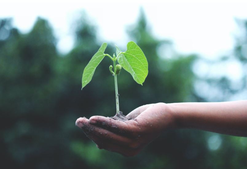 IDELUX_'s tweet image. Valoriser ses déchets ou intégrer des #coproduits dans ses process, c’est la porte d’entrée de toute entreprise entreprenant une démarche de #DeveloppementDurable.  Pour en savoir plus, rendez-vous le 28 janvier à 14h 👍 
ℹ️ bit.ly/39CV8L6
@wagralim
