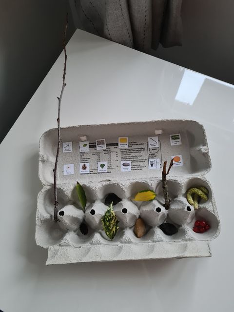 BurnleySSP's tweet photo. Kai from @StJohnsPadiham enjoyed exploring outside when he took a 'walk on the wild side' He completed the egg box scavenger hunt and here are some of his treasure. Being outside in the fresh area is great for our wellbeing! #greentherapy #active21 https://t.co/bKh0vNHdFU