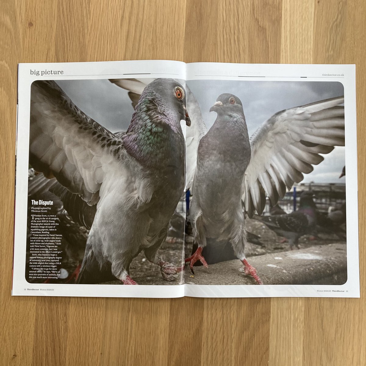 This dramatic image of squabbling pigeons was captured by 17-year-old Thomas Scott, a winner of the  @RSPCA_official Young Photographer Awards 2020