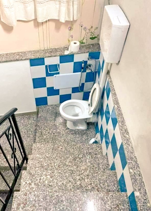 Bauhasaurus tweet media