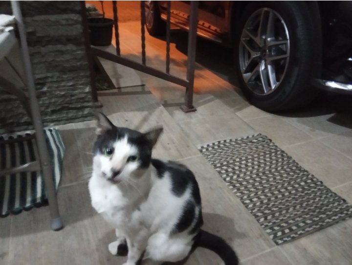 tria 👠 tweet media