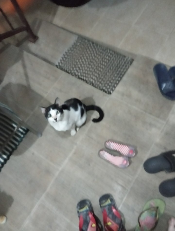 tria 👠 tweet media