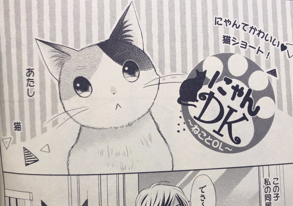 ?⬛お知らせ?⬛
只今発売中のプチコミ増刊冬号に猫ショート「にゃんDK」掲載して頂いてます♫おこわがマキのリモートお茶会に参加(?)するお話。。。??よろしくお願いします?
