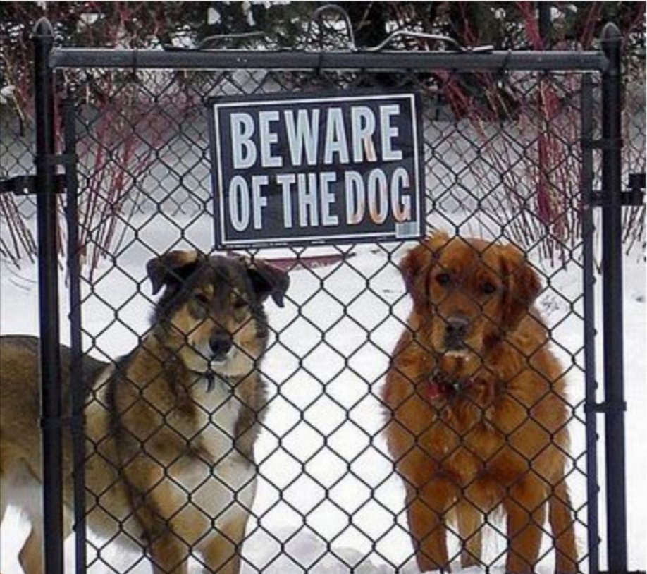 ig-psiralive-on-twitter-pasop-vir-die-hond-beware-of-bogus