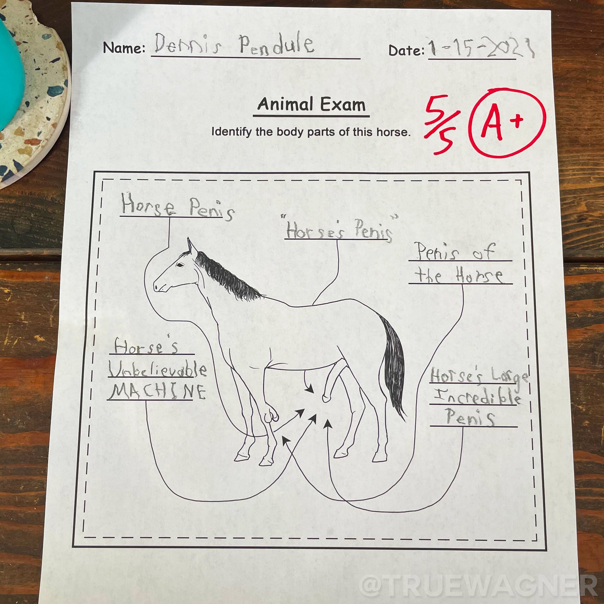 Alan Wagner on Twitter "THIS is what they're teaching my son!!? https