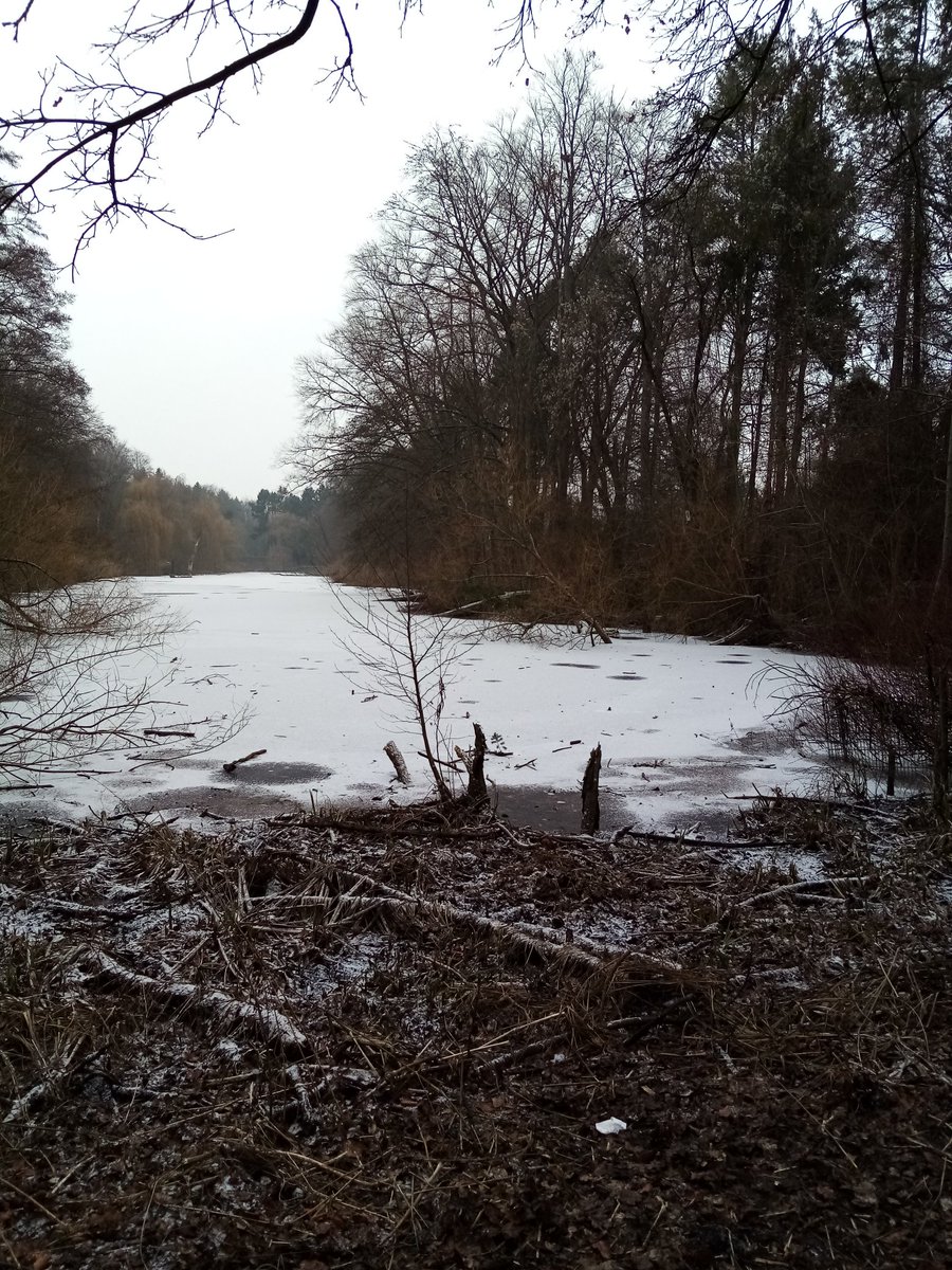 BenVButler's tweet photo. Snow lake #Berlin https://t.co/dXpElGGovq