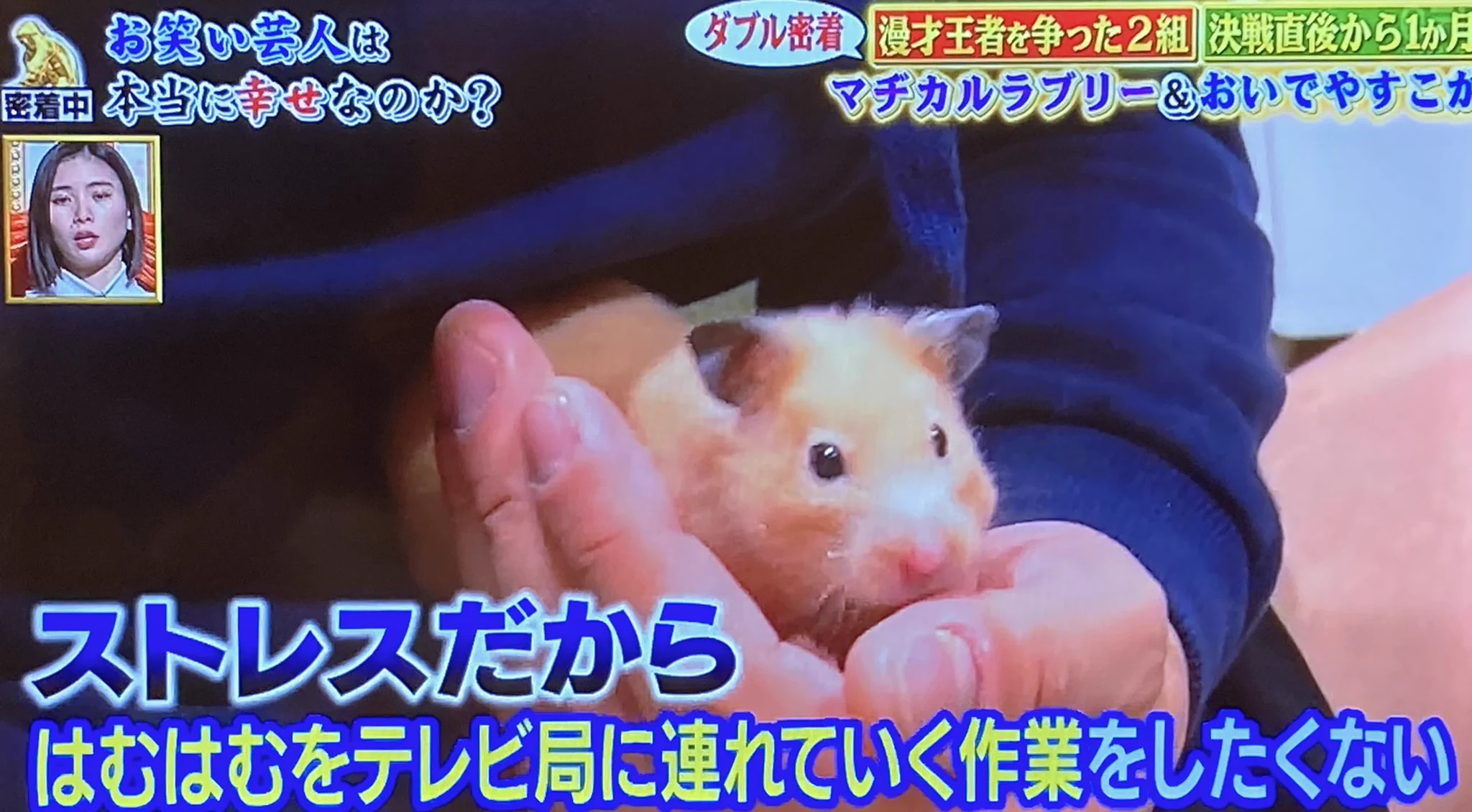 「守ってやらないと…3年間何も嫌なことが起きないでほしい」はむはむを溺愛する野田！親心が芽生える