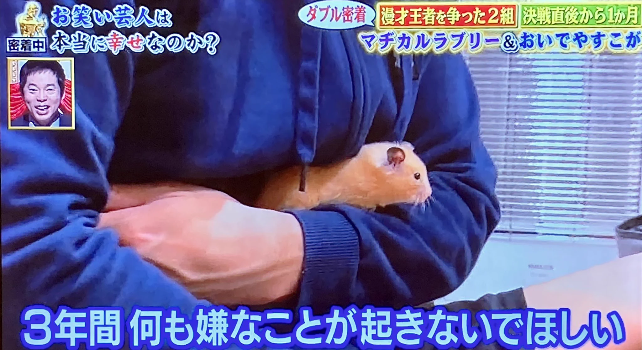 「守ってやらないと…3年間何も嫌なことが起きないでほしい」はむはむを溺愛する野田！親心が芽生える