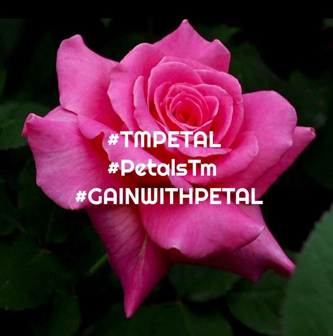 Beast_85's tweet image. Kami bersumpah demi Allah.Who Follow my 2 account,akan mendapatkan FollowUps dalam 10 menit
@5q_zk 
@Lk6Ha 
Aktif 13 jam
Retweet tweet ini tolong Follow 2 Akun,Akan memberi mereka dua FollowUp dalam sepuluh menit.Tolong dibalas
#1Drive #follbackNKRI #SobatSoulMate #GudangFollback