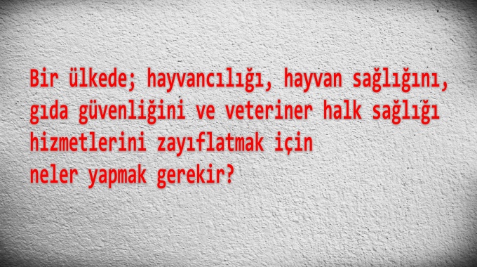 Bir ülkede; hayvancılığı, hayvan sağlığını, gıda güvenliğini ve veteriner halk sağlığı hizmetlerini zayıflatmak için ne yapmak gerekir?
1⃣Veteriner hizmetleriyle ilgili köklü kurumları lağvedin,
2⃣Bu hizmetleri farklı kurumlara dağıtarak; yönetimini zayıflatın, bütçesini azaltın,
