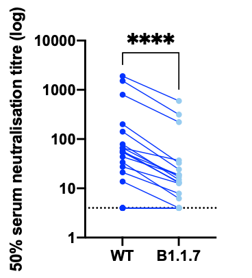 Among 15 individuals with neutralisation activity three weeks after the Pfizer mRNA vaccine, 10 showed evidence of reduction in efficacy of antibodies against the B.1.1.7 mutant (Fold change >3). The highest fold change was 6. Median fold change was 3.85 (IQR 2.68-5.28).