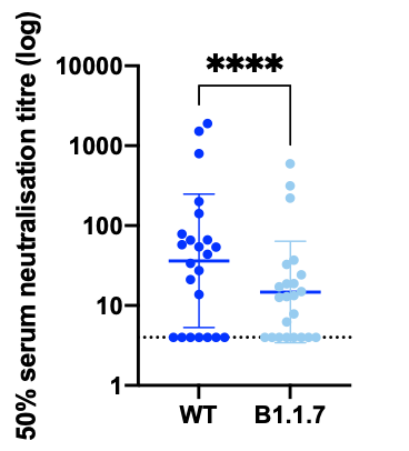 Among 15 individuals with neutralisation activity three weeks after the Pfizer mRNA vaccine, 10 showed evidence of reduction in efficacy of antibodies against the B.1.1.7 mutant (Fold change >3). The highest fold change was 6. Median fold change was 3.85 (IQR 2.68-5.28).