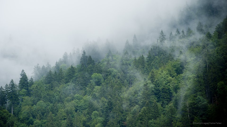 EU_ENV's tweet photo. 🆕 Study "Mapping Europe’s primary forests and identifying how to protect and restore them" via @SfEP
Out of the 54 existing 🌲🌳 combinations:
- 6 no longer contain primary forest
- 2/3 have less than 1% remaining
https://t.co/ikUBLJ1dyM
#EUBiodiversity #ForestsEU #CoP15 https://t.co/Jweya6jdcZ